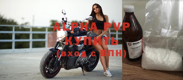 твердый Бородино