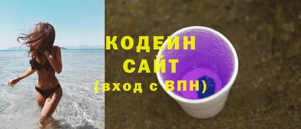 твердый Бородино
