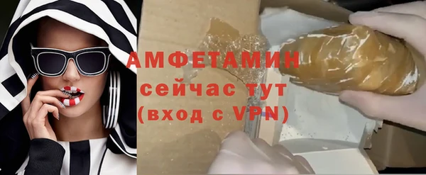 твердый Бородино