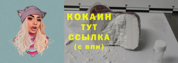 твердый Бородино