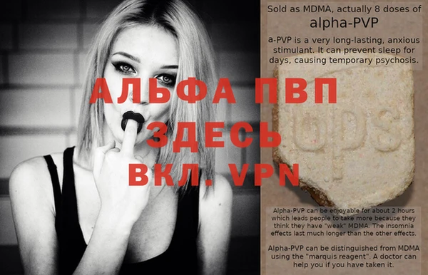твердый Бородино