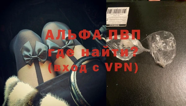 твердый Бородино