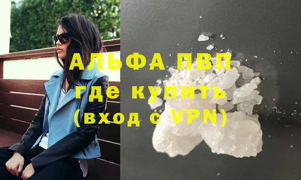 твердый Бородино