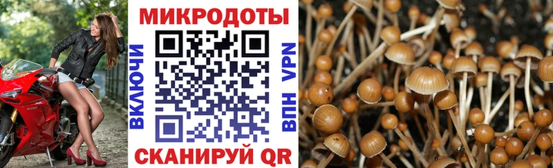 ссылка на мегу tor  Первоуральск  Галлюциногенные грибы Cubensis 